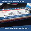 Ceftriaxone Sodium for Injection 1g (boîte à papier)